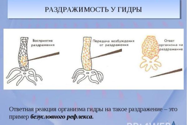 Кракен даркнет только через тор
