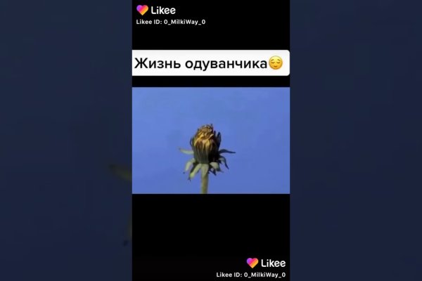 Поддержка кракен шоп