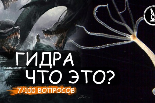 Что продают на кракене
