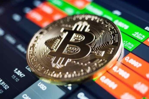 Актуальная информация о krab4.cc