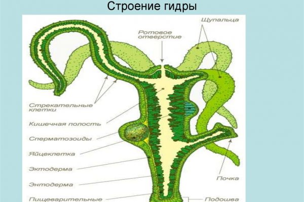 Кракен маркет даркнет слушать
