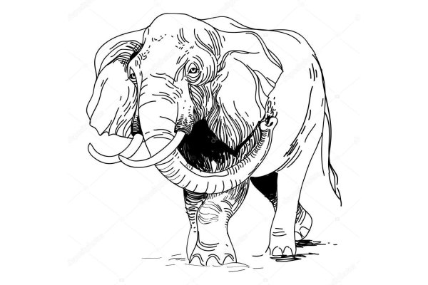 Кракен ссылка - полное руководство