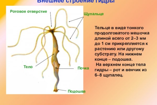 Kraken это