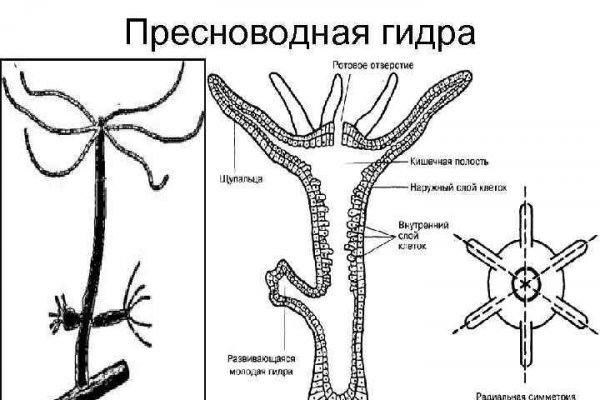 Kraken darknet зеркала кракен обход