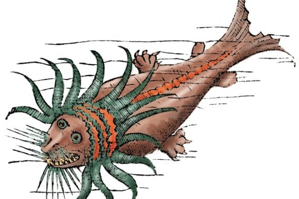 Ссылка для входа на сайт kraken