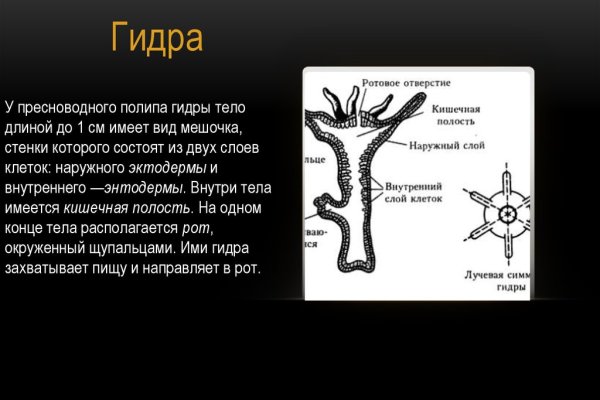 Не могу зайти на сайт кракен