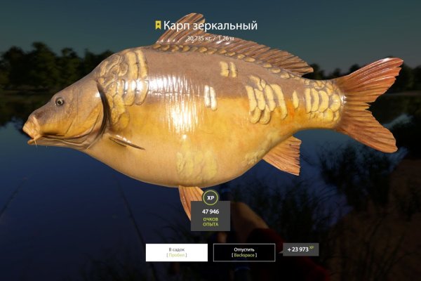 Кракен рабочий сайт